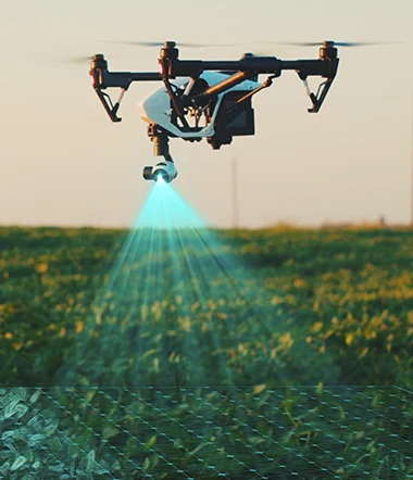 Digital technologies and precision agriculture